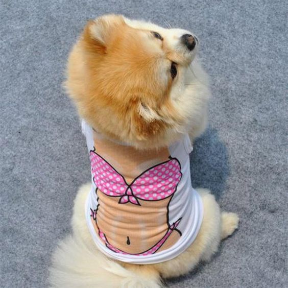 Incredible Sexy Body In Bikini Design Summer Puppy Shirt - Woof Apparel