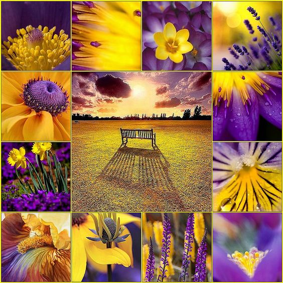 Purple & Yellow by Jolie Beads, via Flickr