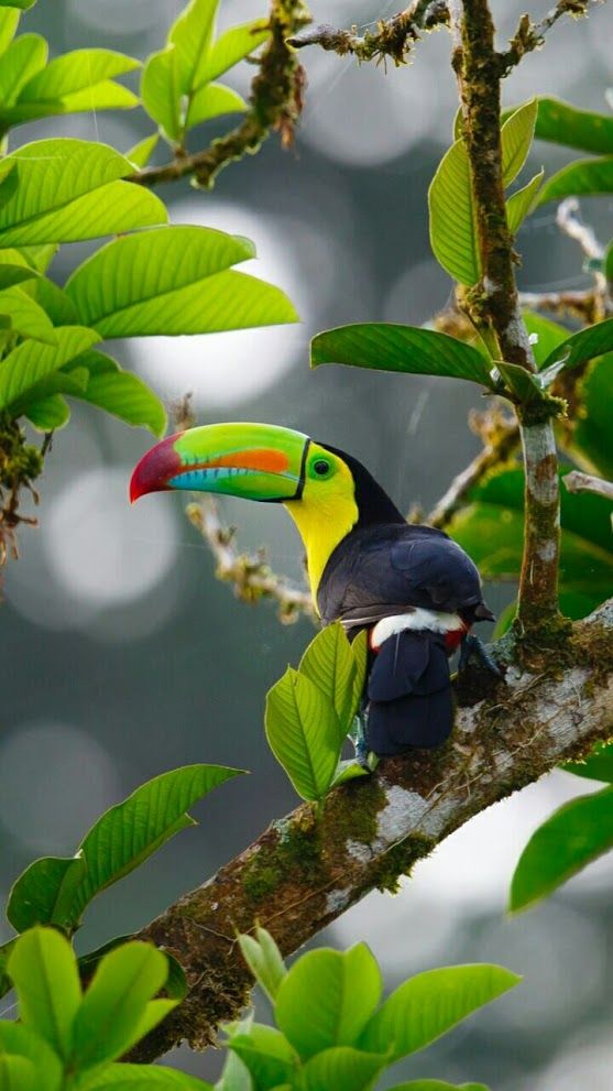 Lupita De Leon - Google+