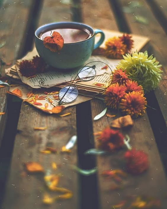 Autumn Bliss | flowers, coffee και autumn