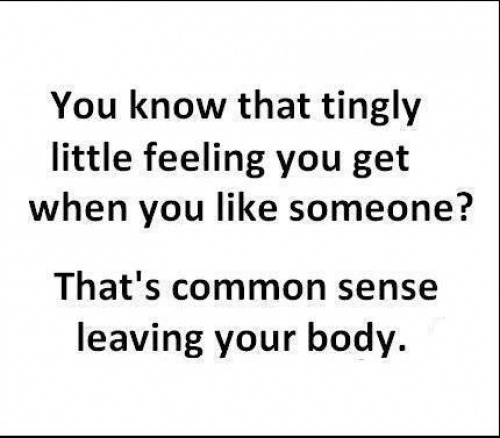 Image result for You know that tingly little feeling you get when you really like someone? That's common sense leaving your body.