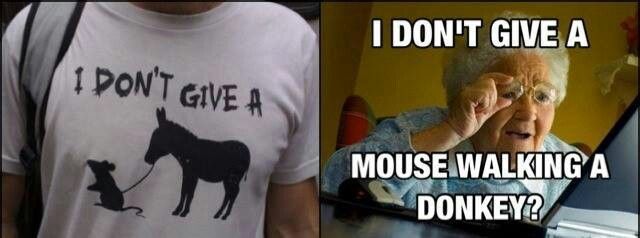 Image result for I DON'T GIVE A MOUSE WALKING A DONKEY