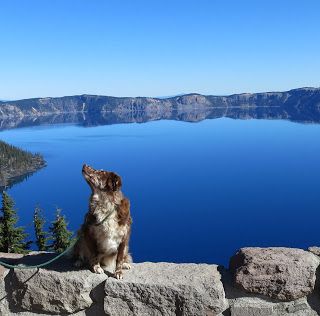 Image result for crater lake national park opening