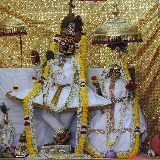 Radha Govind Devji 23 Mar 2016 – Deity Darshan | Deities, Hare krishna, Gods and goddesses