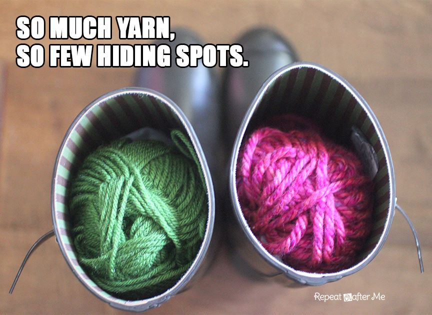 Image result for so much yarn so few hiding