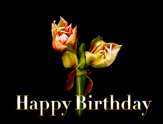 happy birthday flowers gif | Happy birthday flowers gif, Birthday wishes  gif, Happy birthday flowers wishes