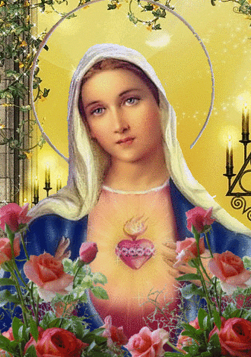 Risultato immagini per gif vergine maria"