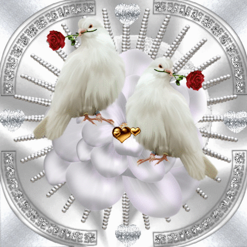 Risultato immagini per GIF ANIMATE SPIRITO SANTO