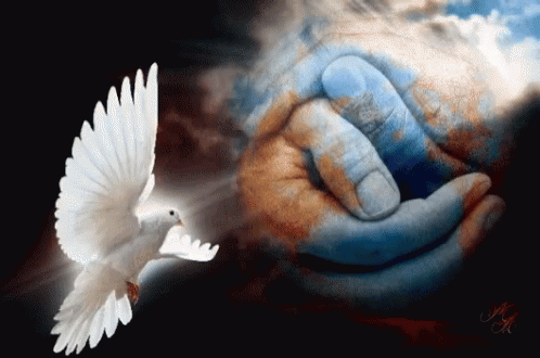 Peace GIF - Peace - Discover & Share GIFs | Gif pictures, Gif, Peace