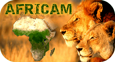 AFRICAM2