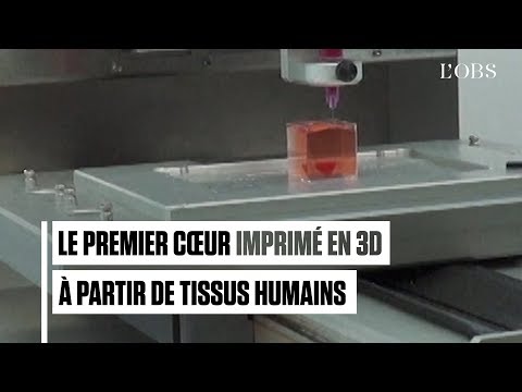 Voici le premier cœur imprimé en 3D à partir de tissu humain