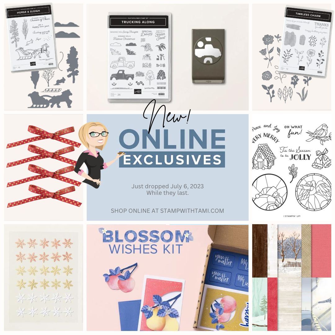 Stampin-Up-Online-Exclusives-Square image