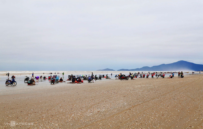 Người dân tập trung tại bãi biển xã Cương Gián, huyện Nghi Xuân nhặt sò huyết, chiều 30/12. Ảnh: Đức Hùng
