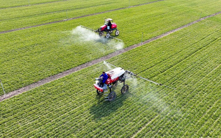 A China proibiu os moradores urbanos de comprar casas rurais, já que o governo busca garantir que os trabalhadores migrantes mantenham uma rede de segurança em meio a um período de turbulência econômica. Foto: Xinhua