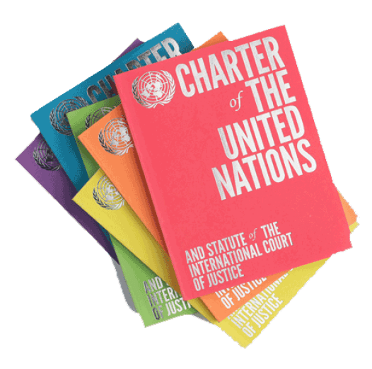 Image result for (Charter of The United Nations)