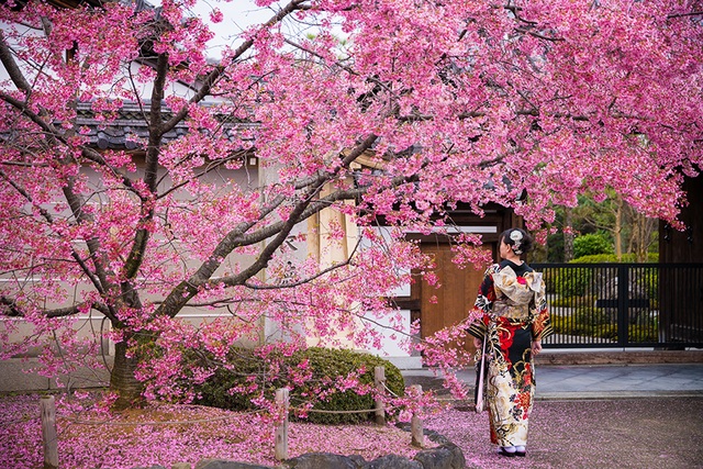 Kimono - Nét đẹp truyền thống của đất nước Nhật Bản - 1