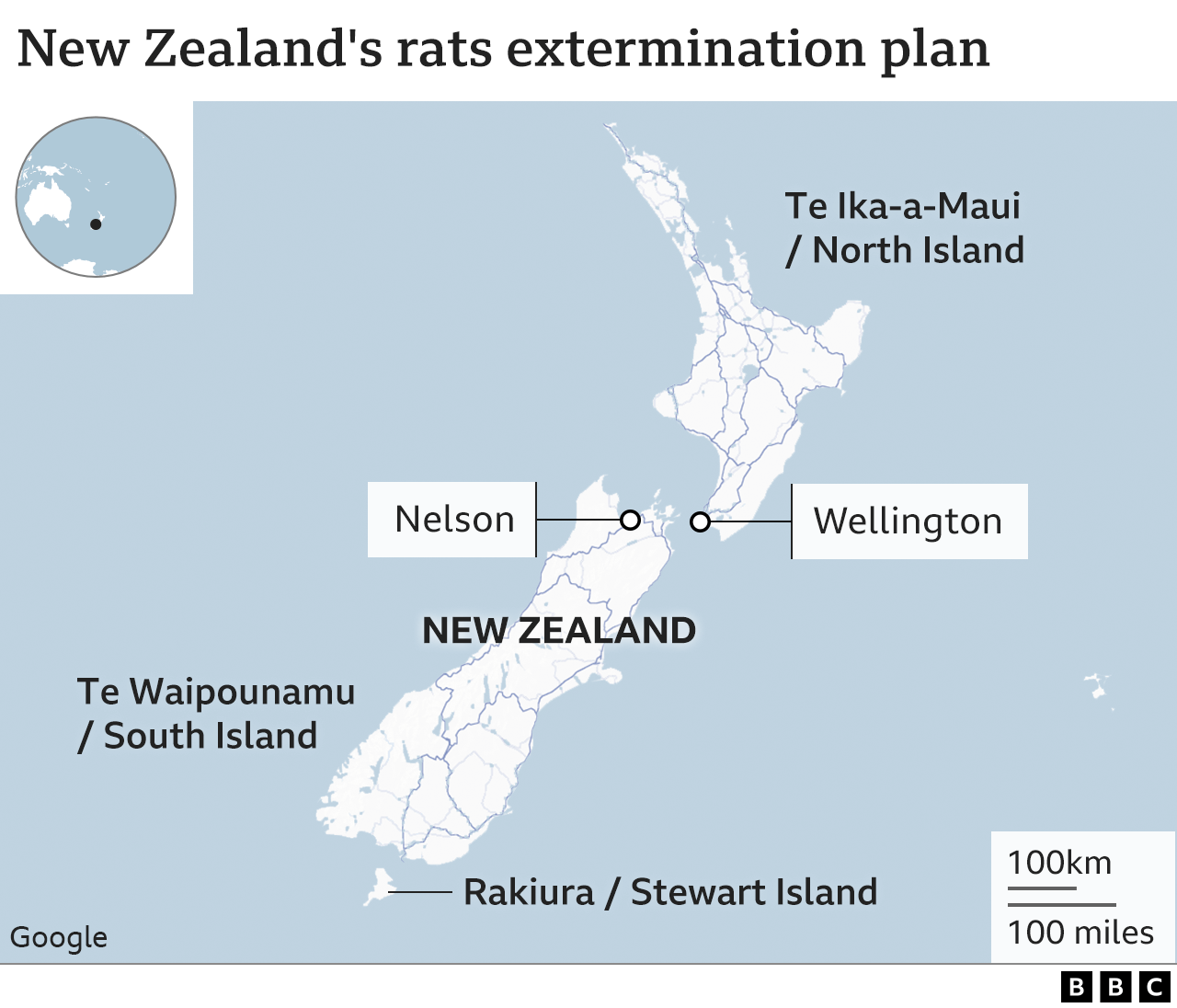 New Zealand's rat extermination plan