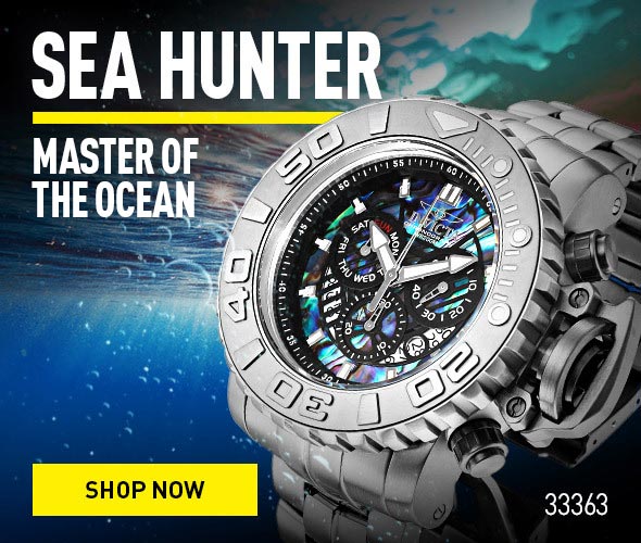 Sea Hunter. Master of the ocean.