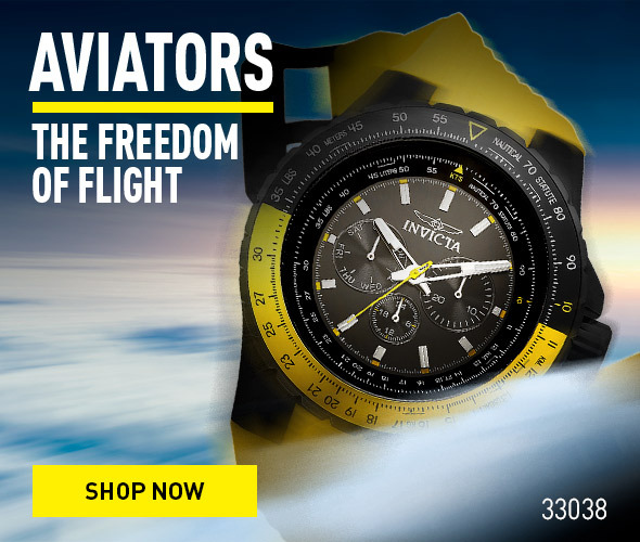 Aviators, The Freedom of Flight