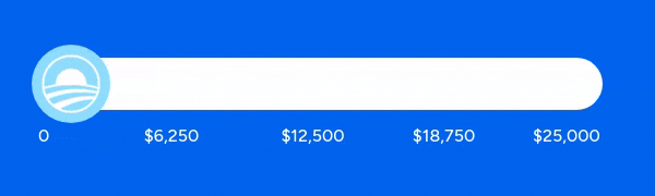 An animated thermometer filling up to our $25,000 Goal!