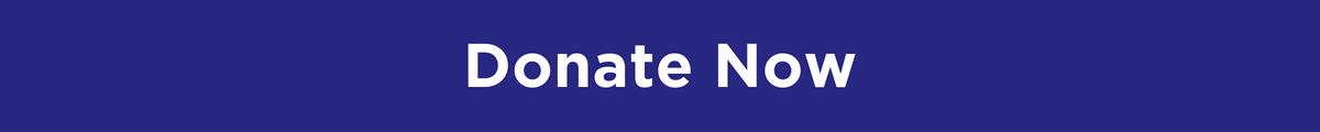 A blue rectangular button with the words donate now in while letters.