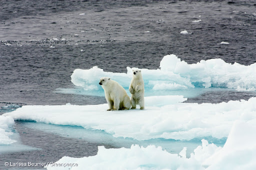 Greenpeace