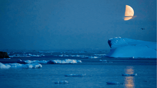 Greenpeace