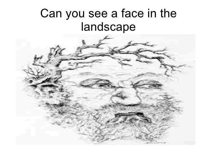 Can you see a face in the landscape 