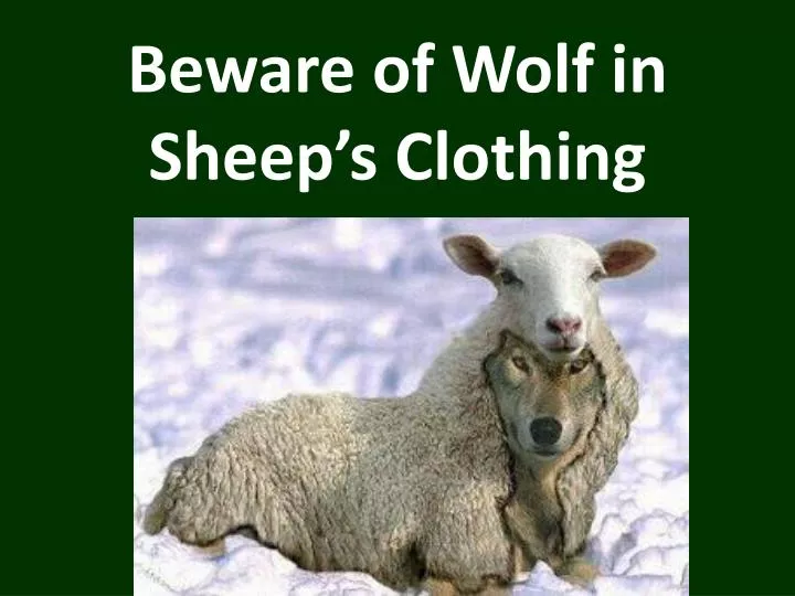 beware-of-wolf-in-sheep-s-clothing-n.jpg