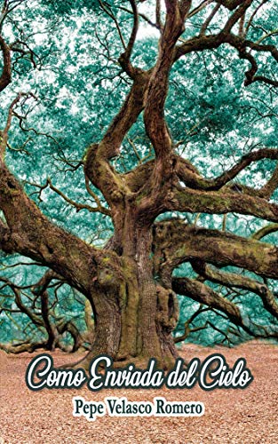 Como enviada del cielo de Pepe Velasco Romero