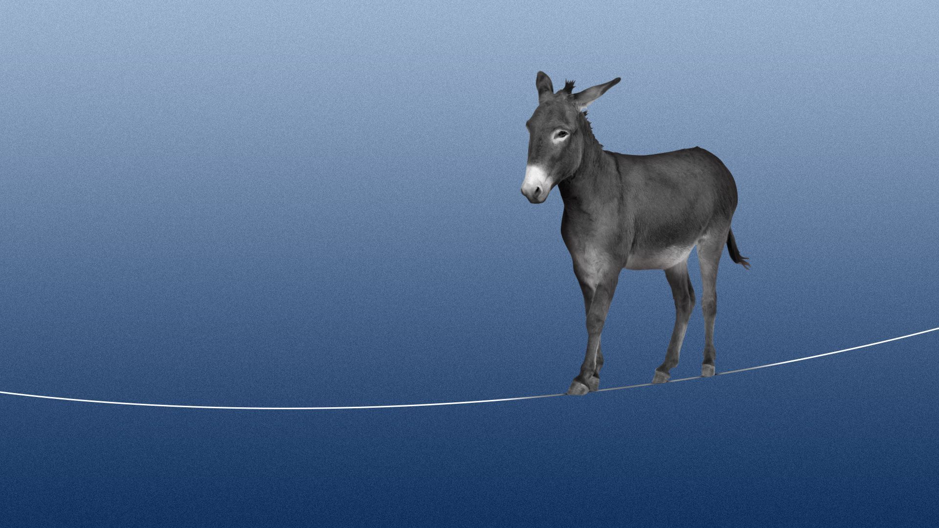 Illustration of a donkey walking a tightrope. 