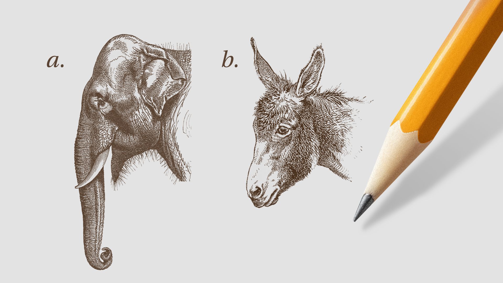 Illustration of a pencil hovering above a drawing of an elephant labeled a and donkey labeled b