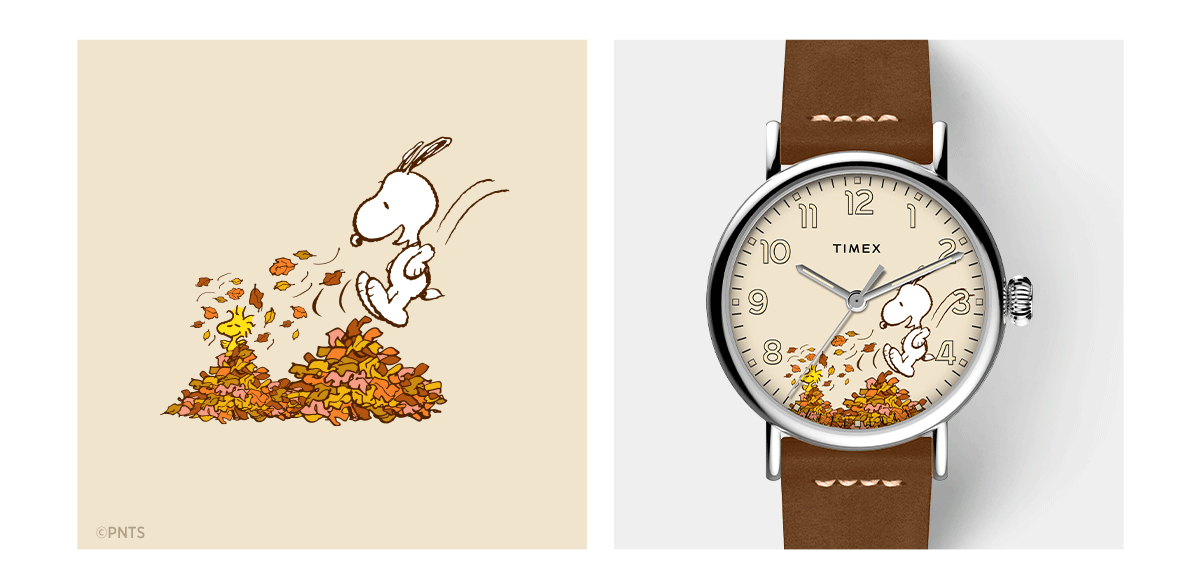 Timex Standard x Peanuts Featuring Snoopy Autumn