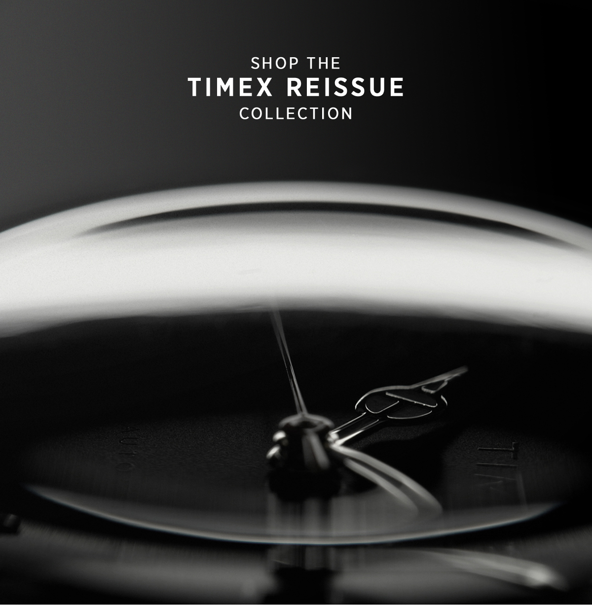 Shop the Timex Reissue Collection