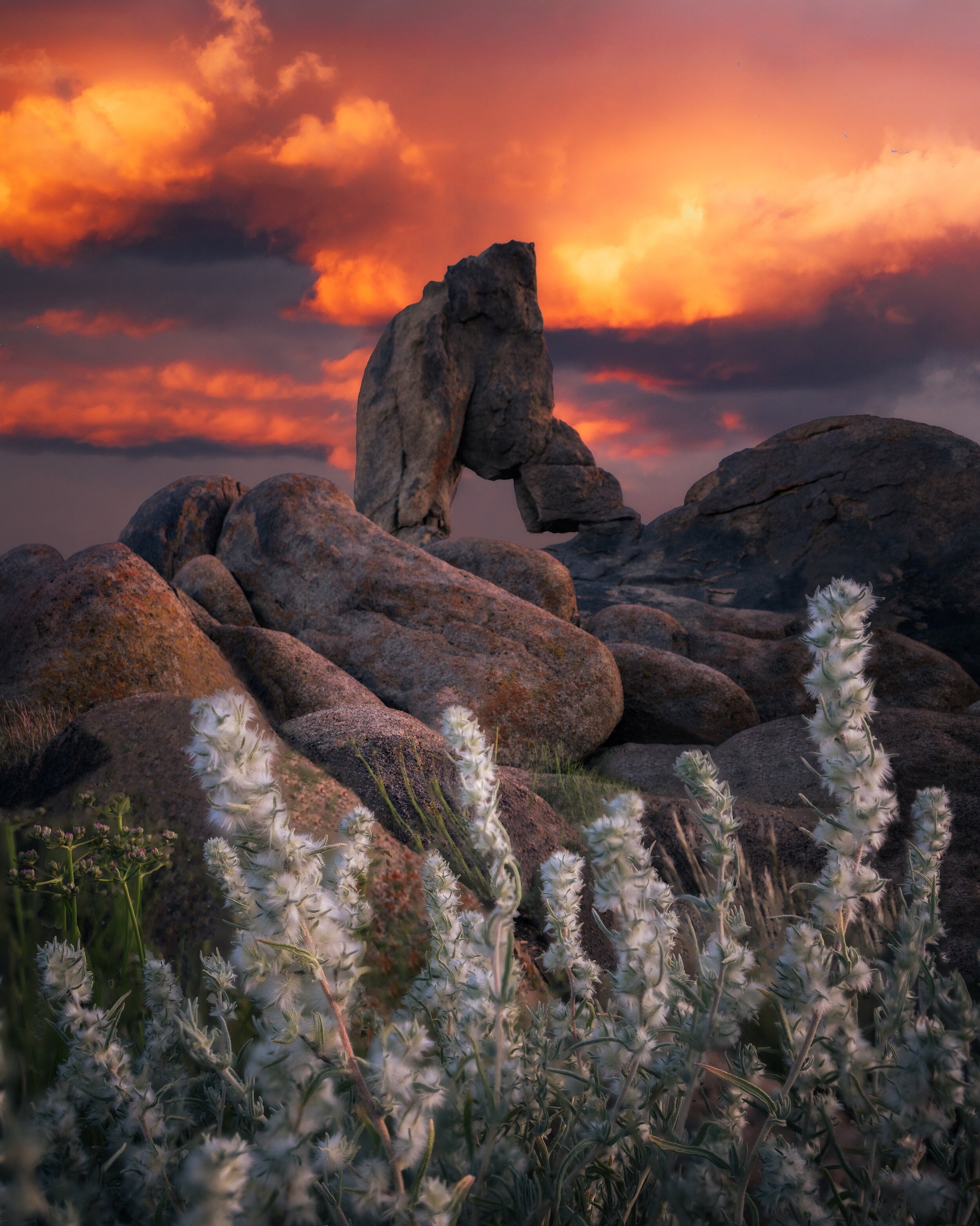 Eastern-Sierras-Photography-Workshop-Alabama-Hills-Sunset.jpeg