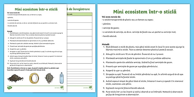Activitate STEM: Mini ecosistem într-o sticlă - Pachet cu resurse