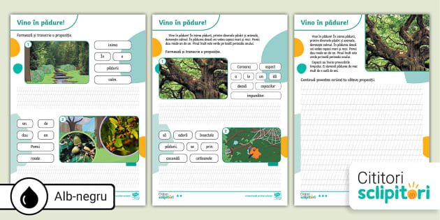 Litera Î: Vino în pădure – Fișă de citire și de scriere clasa I, Plan de literație