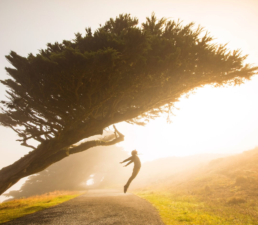silhouette of person jumping under tree	Photo by Stephen Leonardi on Unsplash