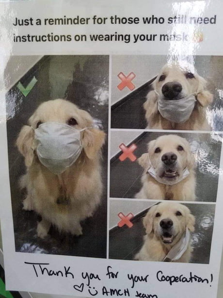 Cute protection guidance