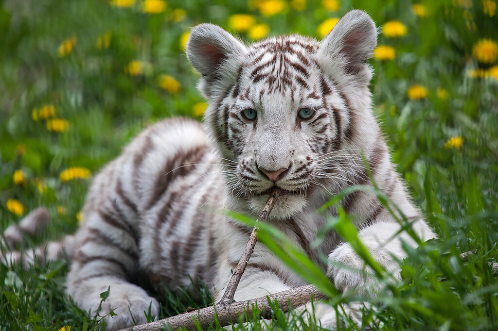 0_c5463_152fe754_orig.jpeg 0_c5463_152fe754_orig.jpeg