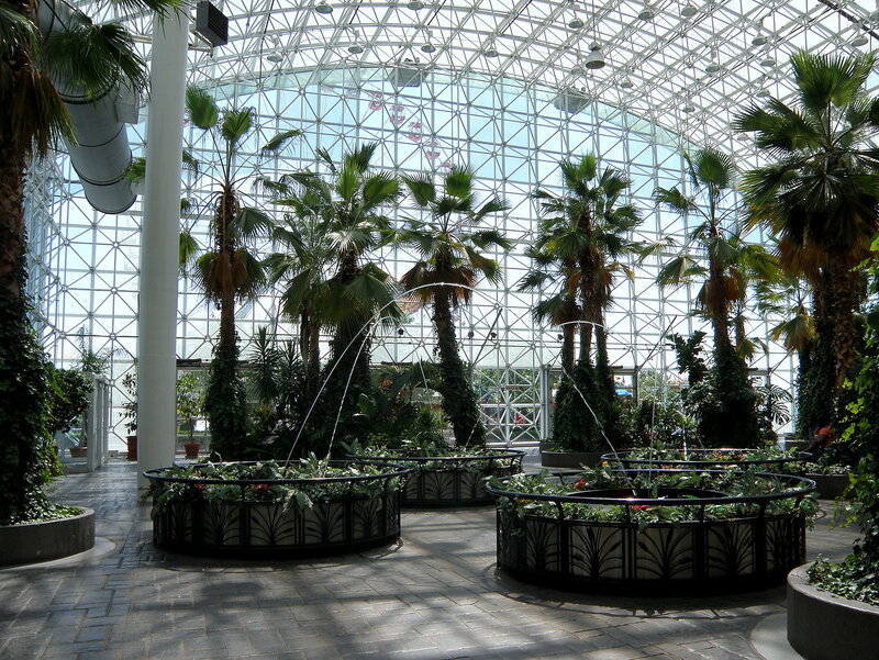 Пальмовый сад Пальмовый сад