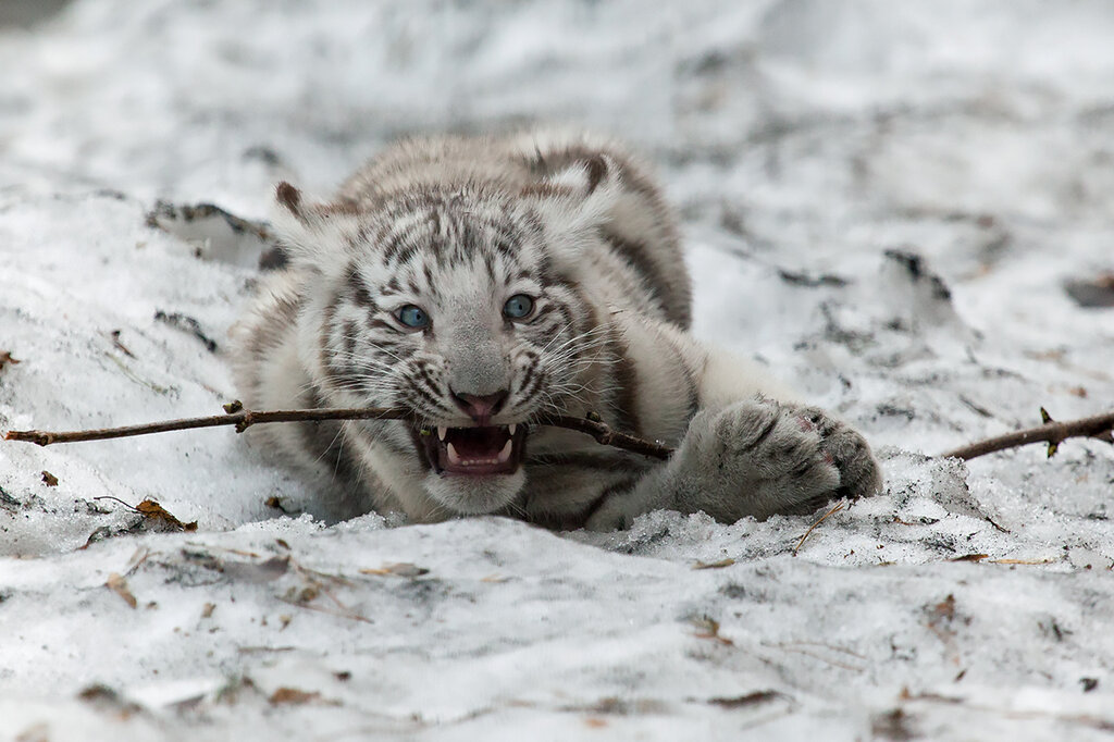 0_c35e9_df8b5c6_orig.jpeg 0_c35e9_df8b5c6_orig.jpeg