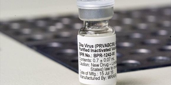 8. Una nueva vacuna contra el zika se muestra prometedora en ensayos con animales