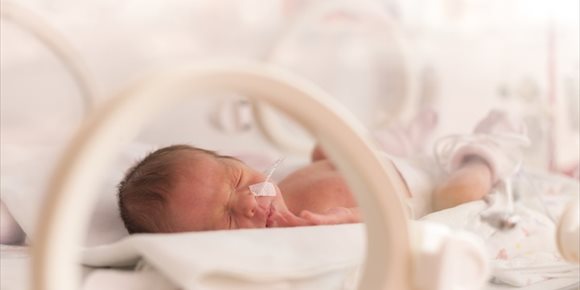 6. El desarrollo cerebral del bebé prematuro mejora al apoyar la conexión emocional con los padres
