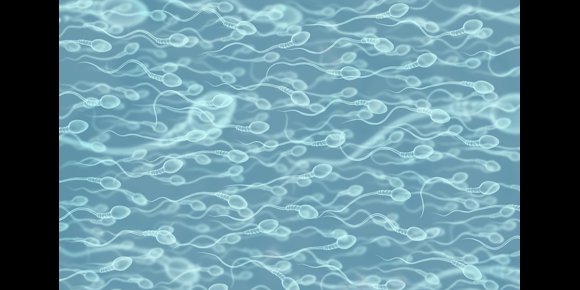 2. Las 5 cosas que más afectan a la fertilidad masculina