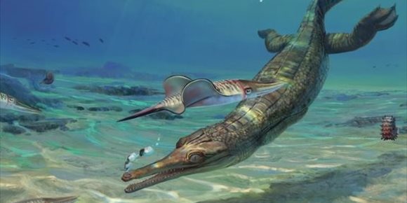 9. Nueva especie fósil de un antiguo ancestro del cocodrilo