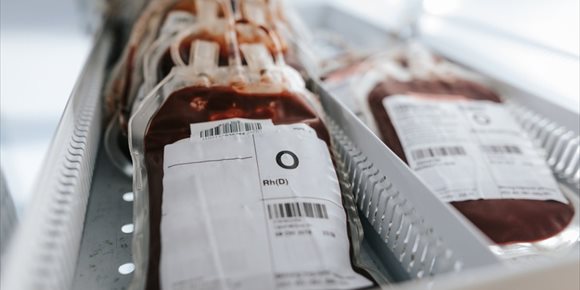 2. La donación de órganos puede hacerse en muerte cerebral, ¿por qué no se puede donar sangre?