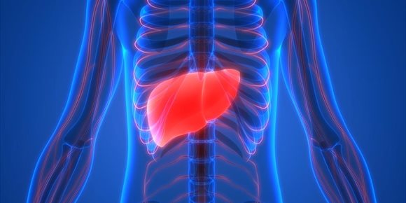 6. Una investigación podría acelerar la identificación de pacientes que necesitan un trasplante de hígado