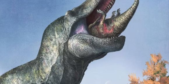 3. Los dinosaurios depredadores como el T. Rex no presumían de dientes