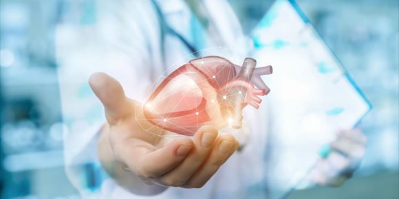 6. Una nueva tecnología detecta de forma no invasiva enfermedades cardiacas en pacientes de alto riesgo
